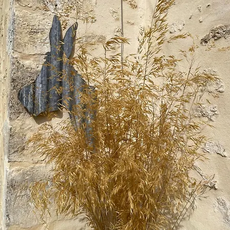 Loue Charmante Maison De A 10 Mns De Belleme Saint-Martin-du-Vieux-Belleme