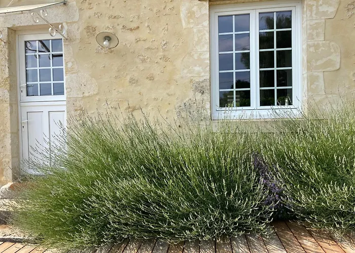 Loue Charmante Maison De A 10 Mns De Belleme Vakantiehuis *