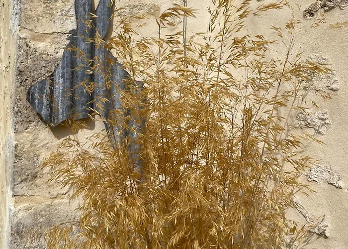 Loue Charmante Maison De A 10 Mns De Belleme Saint-Martin-du-Vieux-Belleme